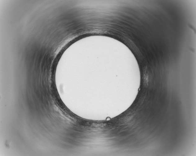 X0000103500484200810101050