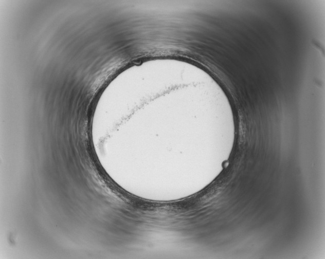 X0000103500485200810101050