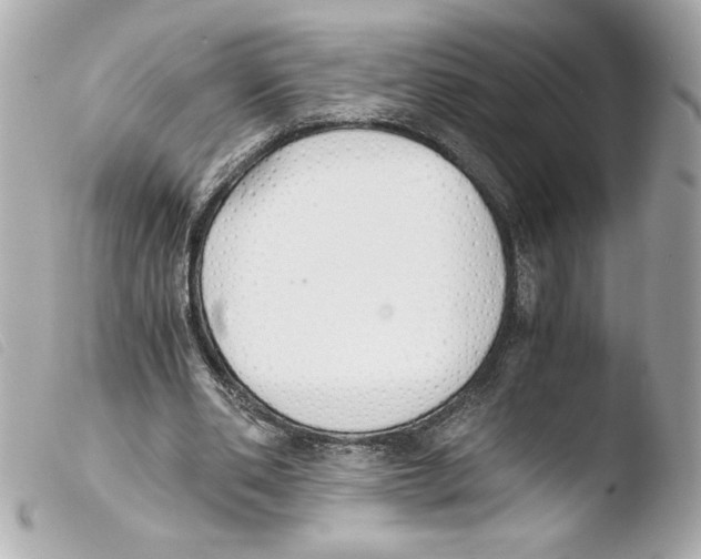 X0000103500486200810101050