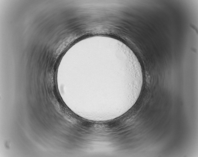 X0000103500487200810101050