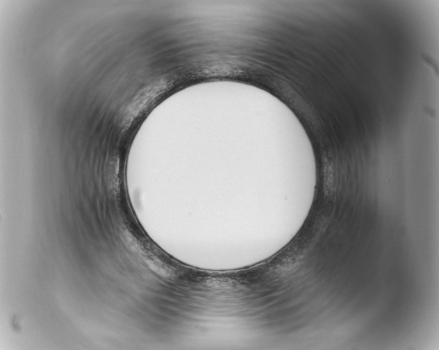 X0000103500490200810101049