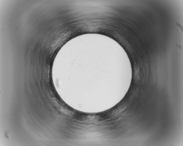 X0000103500493200810101049