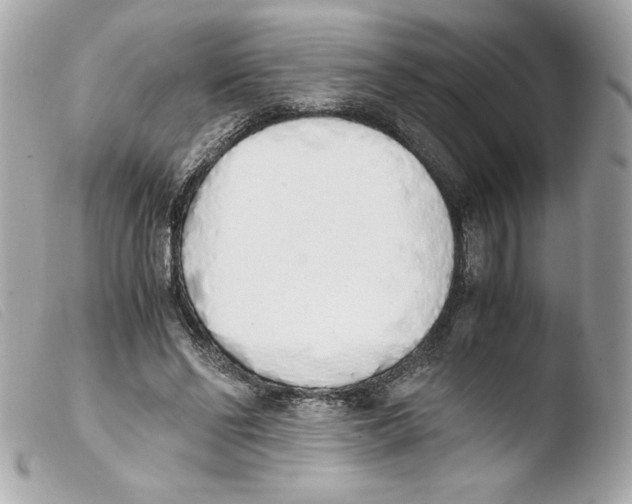 X0000103500494200810101049