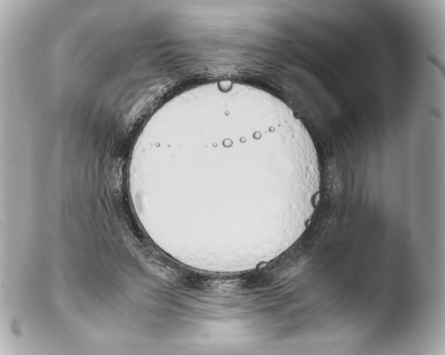 X0000103500495200810101049