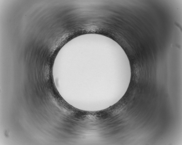 X0000103500496200810101049