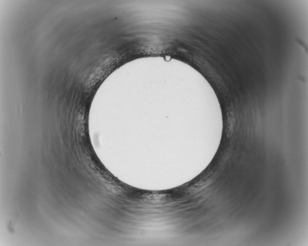 X0000103500497200810101049