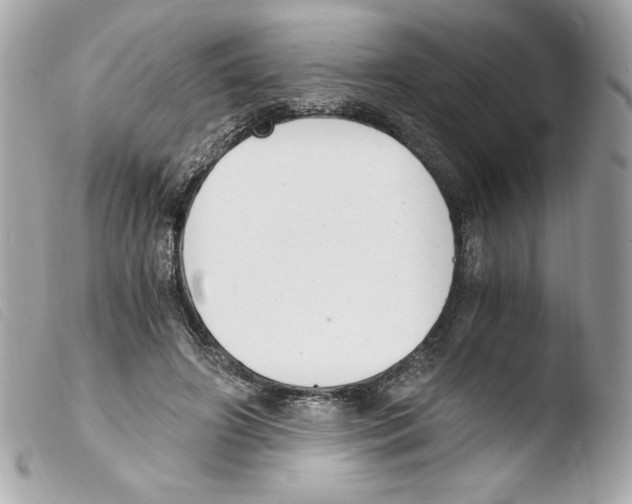 X0000103500498200810101049