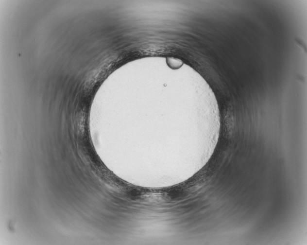 X0000103500499200810101049