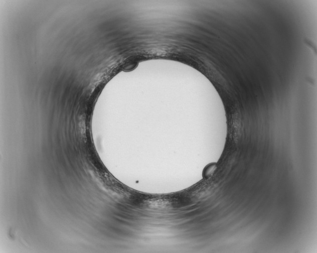 X0000103500500200810101049