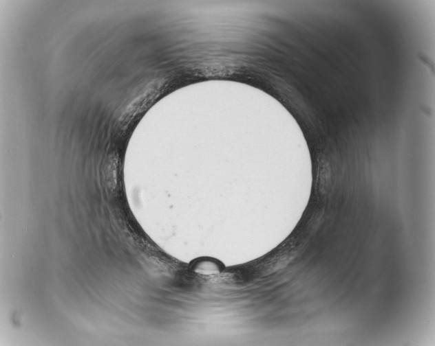 X0000103500501200810101049