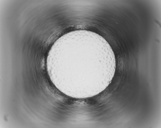 X0000103500502200810101049