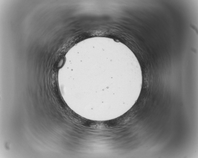 X0000103500503200810101049