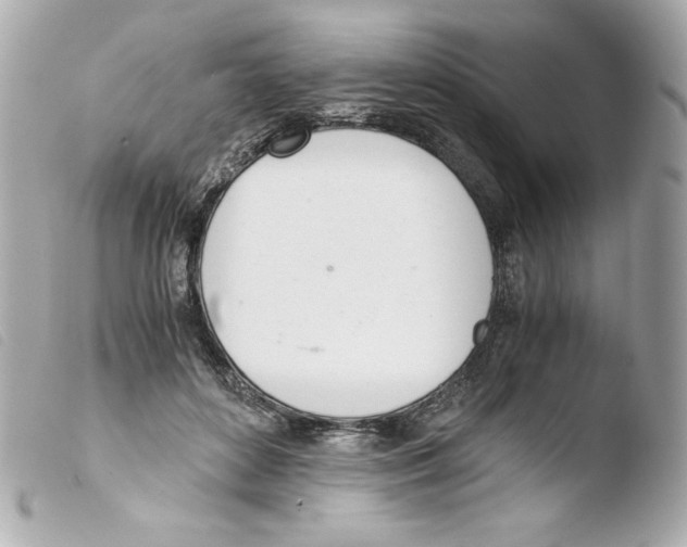 X0000103500504200810101049