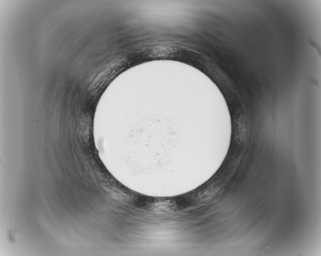 X0000103500505200810101049