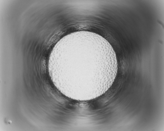 X0000103500506200810101049