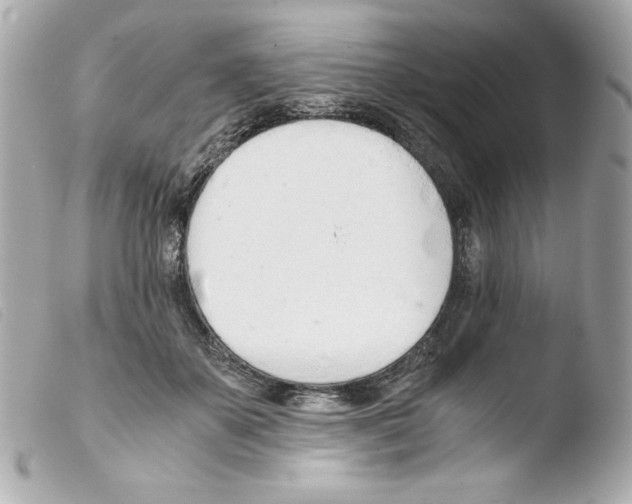 X0000103500507200810101049