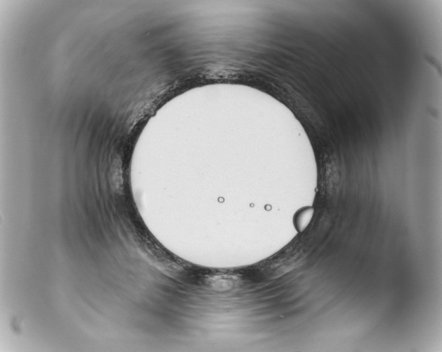 X0000103500508200810101049