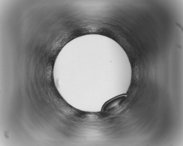 X0000103500509200810101049