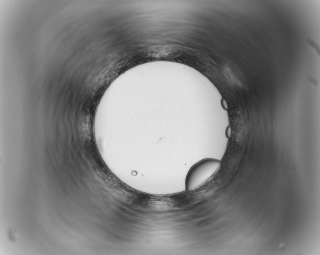 X0000103500510200810101049