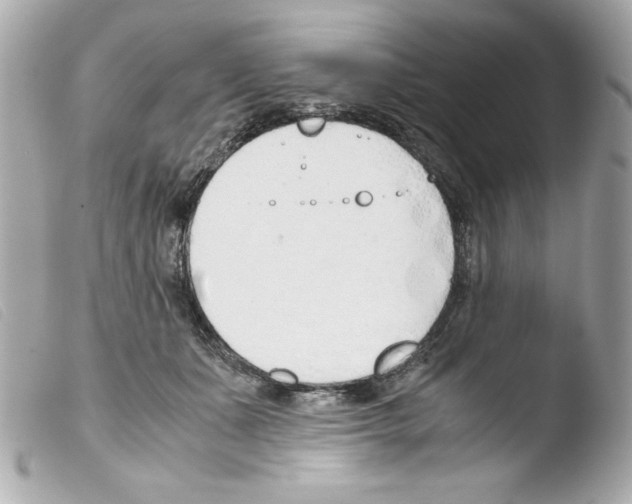 X0000103500511200810101049