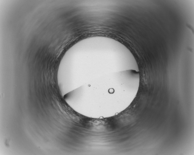 X0000103500512200810101049