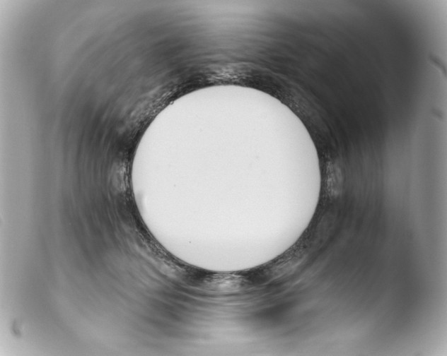 X0000103500514200810101049