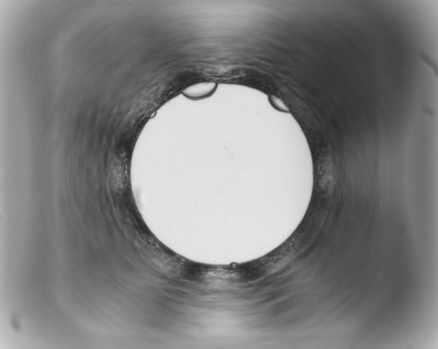 X0000103500515200810101049