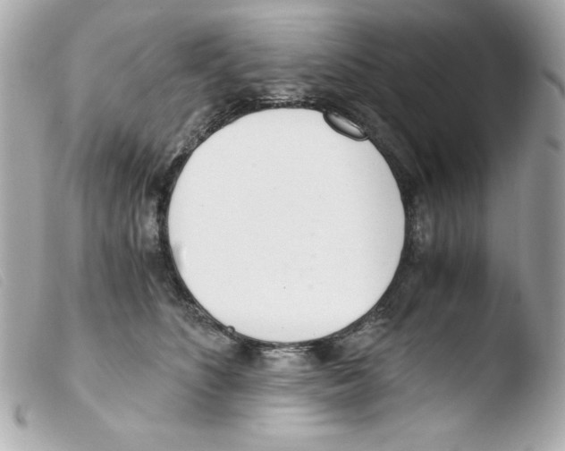 X0000103500516200810101049