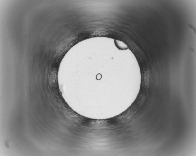 X0000103500517200810101049