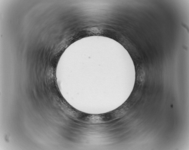 X0000103500518200810101049