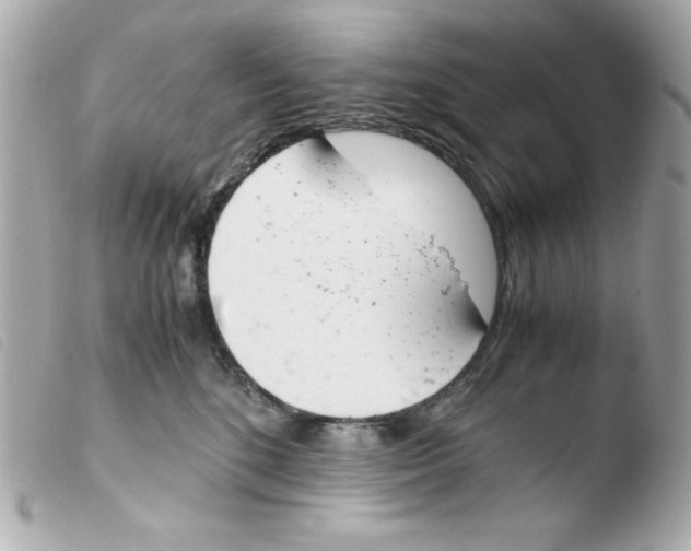 X0000103500520200810101049