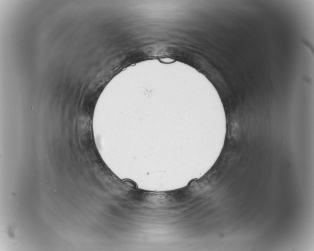 X0000103500521200810101049