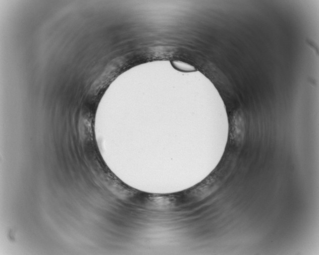 X0000103500522200810101049