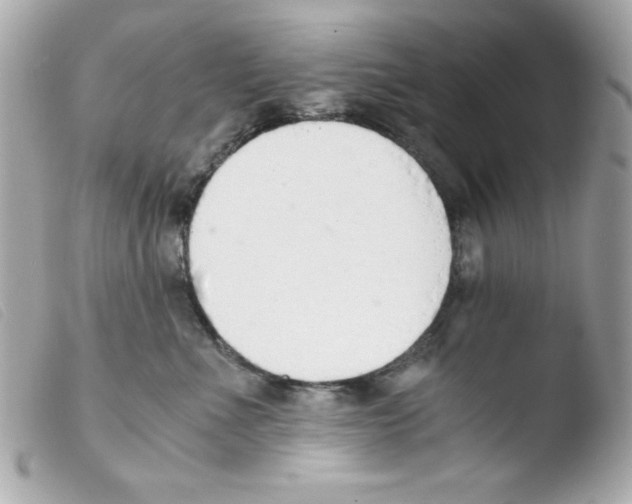 X0000103500523200810101049