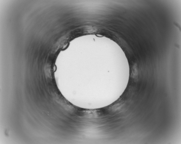 X0000103500524200810101049