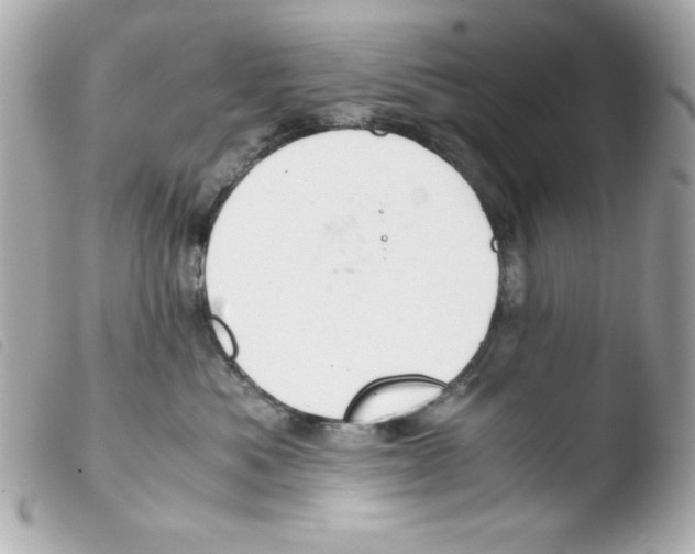 X0000103500525200810101049