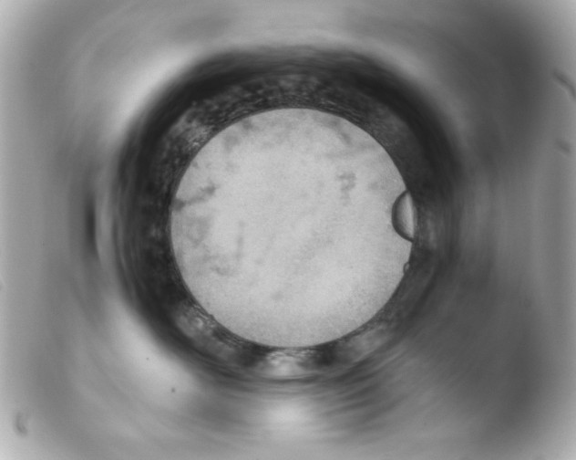 X0000103500526200810101049