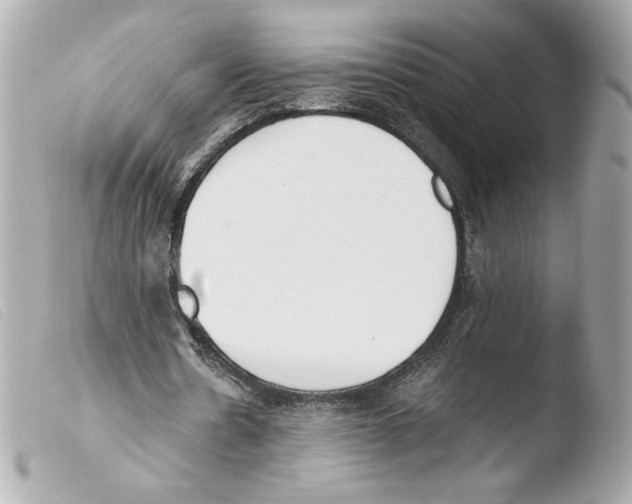 X0000103500530200810101048