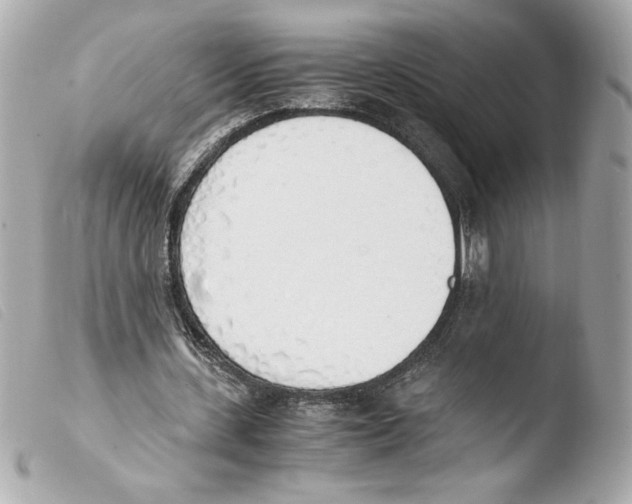 X0000103500531200810101048