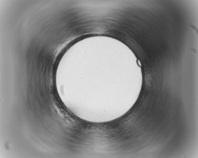 X0000103500532200810101048