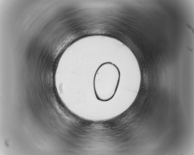 X0000103500534200810101048