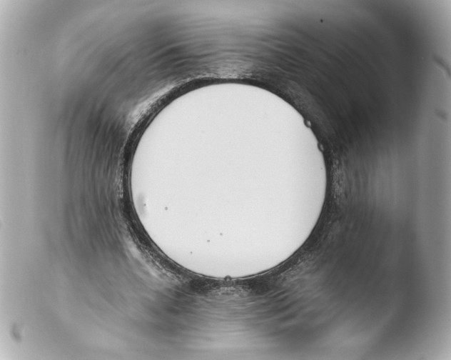 X0000103500536200810101048