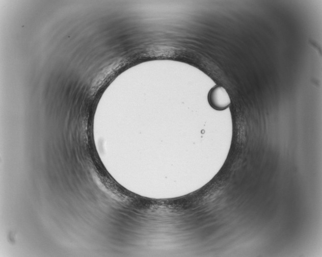 X0000103500538200810101048