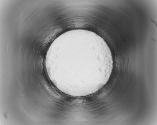 X0000103500542200810101048