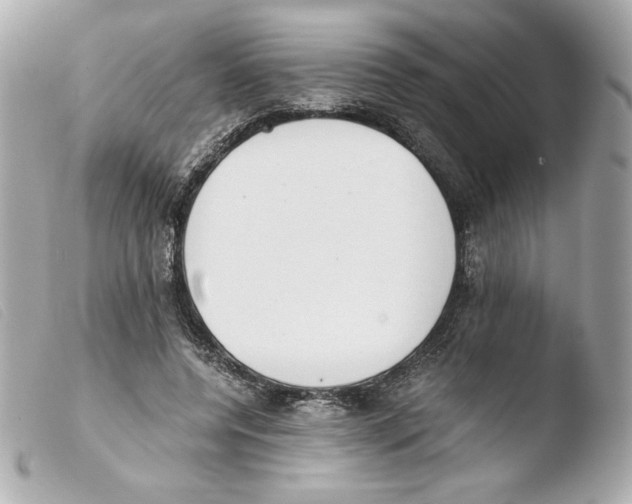 X0000103500544200810101048