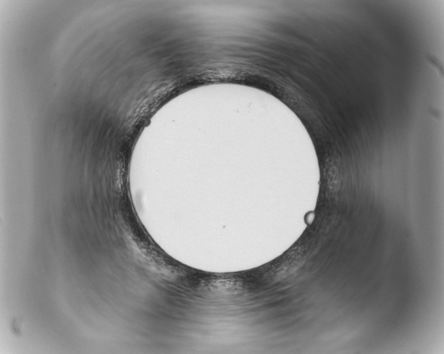 X0000103500546200810101048