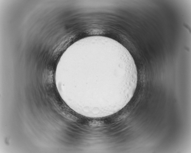 X0000103500549200810101048