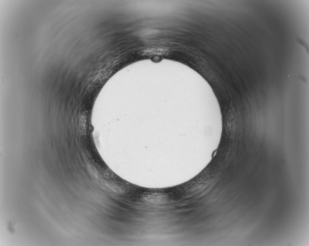 X0000103500551200810101048