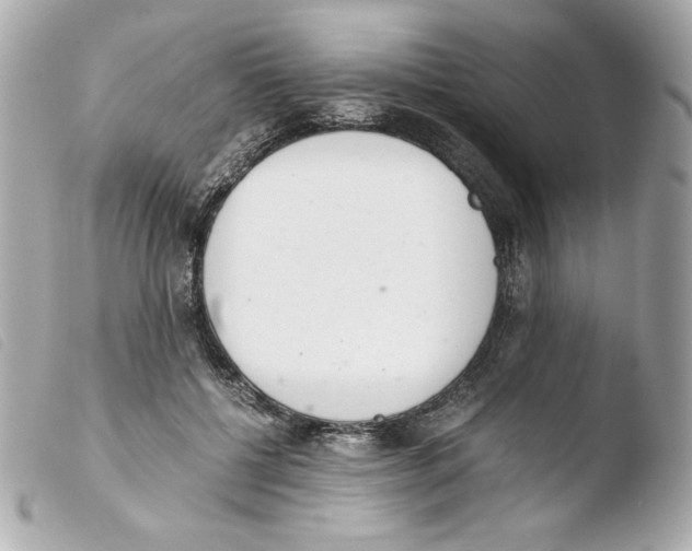 X0000103500552200810101048