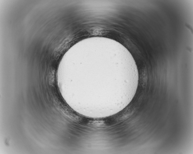 X0000103500554200810101048